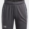Challenger Train Shorts Challenger Train Shorts