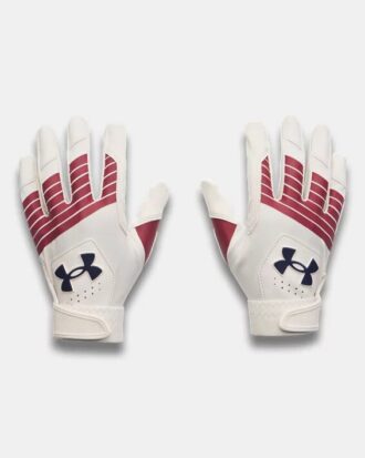 Clean Up LE Batting Gloves