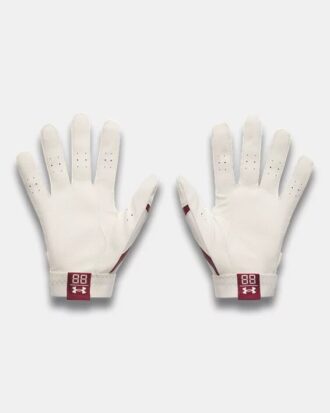 Clean Up LE Batting Gloves