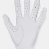 Iso-Chill Golf Glove Iso-Chill Golf Glove