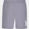 Logo Volley Swim Shorts Logo Volley Swim Shorts