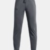 Pennant 2.0 Pants